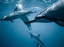 孩子般的错误！英冠后卫活球状态下手球送点，队友直挠后脑勺